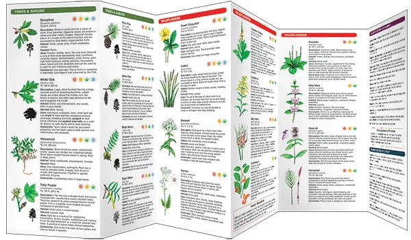 Pathfinder - Medicinal Plants of the Eastern Woodlands