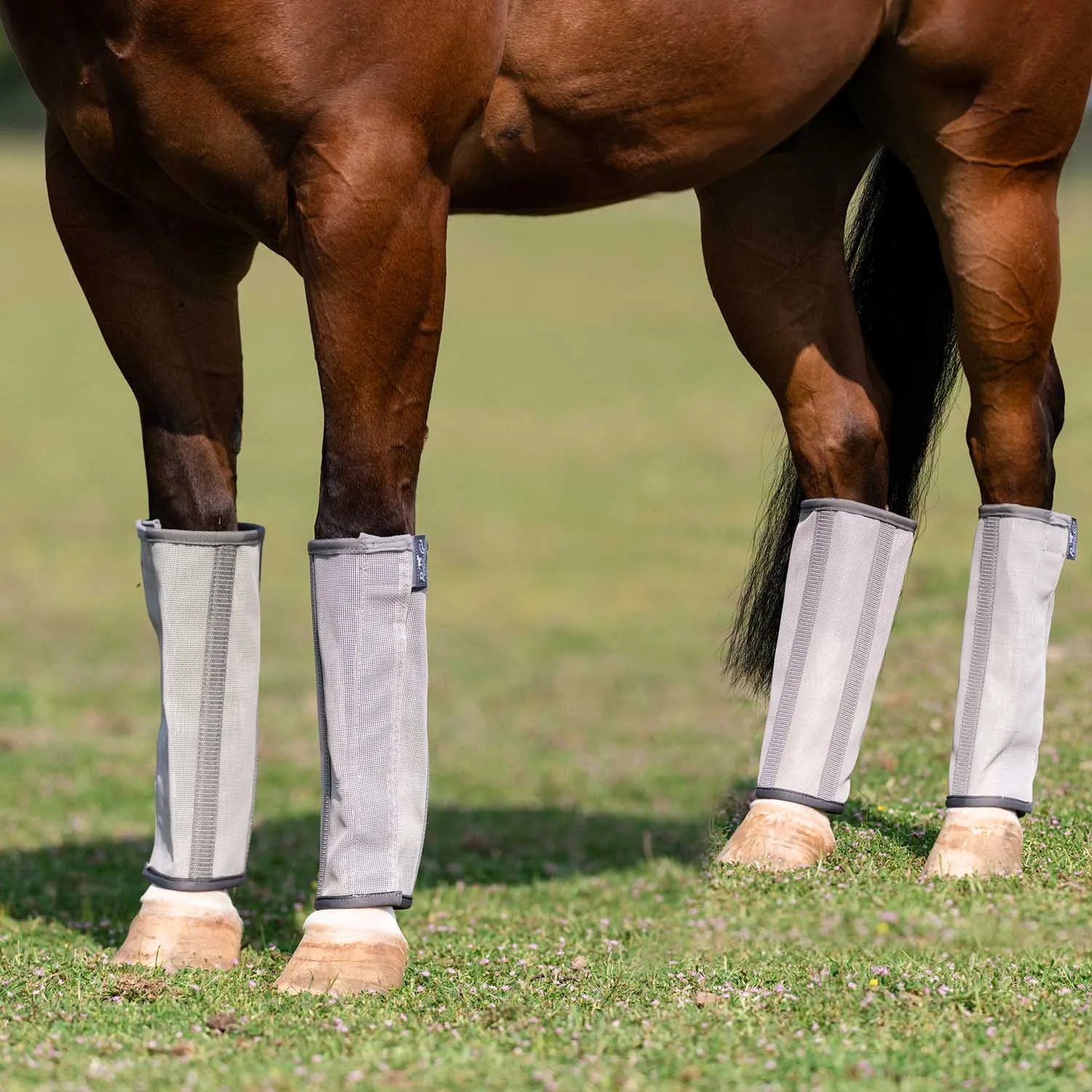 Professional's Choice Deluxe Fly Boots, 4 pack