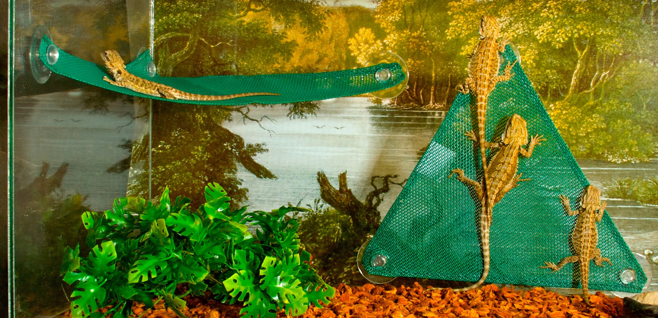 Zoo Med Repti Hammock